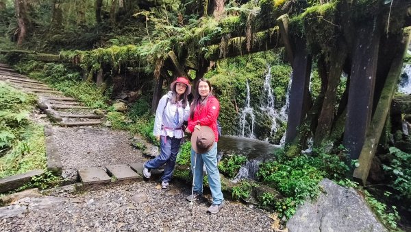 見晴懷古步道2940586