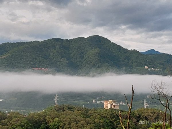 六月上旬晨走義確山下1413412