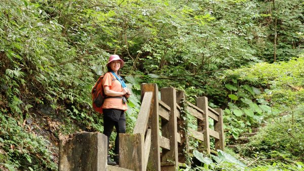 (姨婆趴趴走)第十六集:東滿步道，台灣百大必訪步道2220539