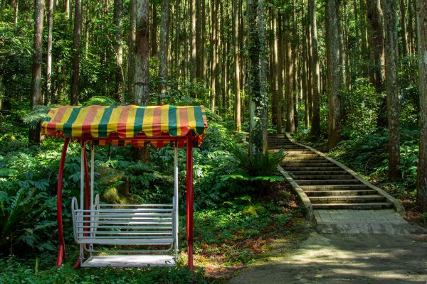 馬武督探索森林2930702