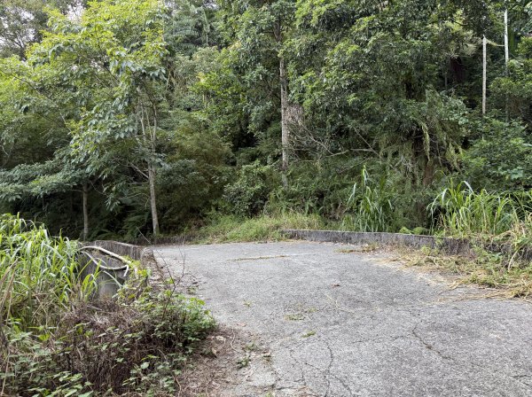 2025_1018 花蓮縣鳳林鎮鳳凰瀑布2921369