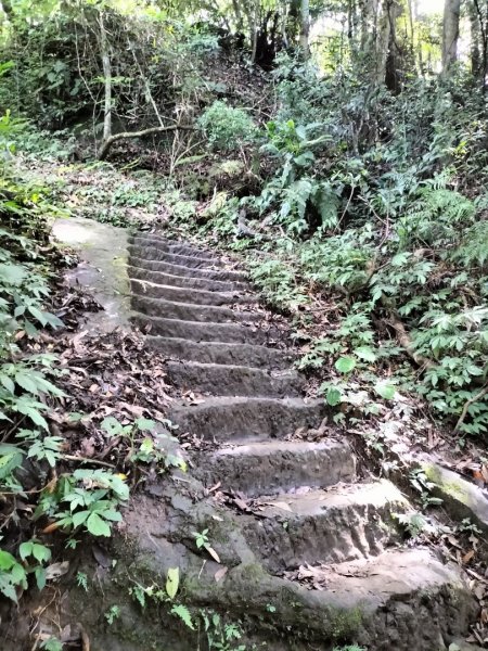 五指山登山步道2269253