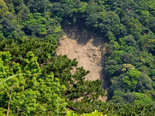 2025年臺北大縱走第二段： 二子坪至小油坑2763789