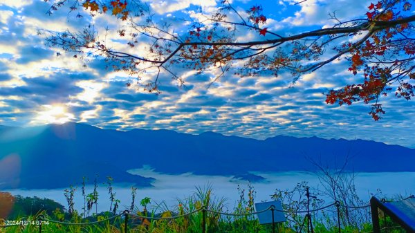 二訪馬拉邦山，解鎖 #琉璃光雲海 #日出雲海  #血月 #斜射光 #楓葉紅了！2668625