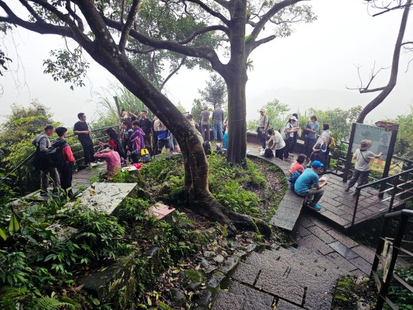 2026年臺北大縱走第六段：中華科技大學至捷運麟光站3026033