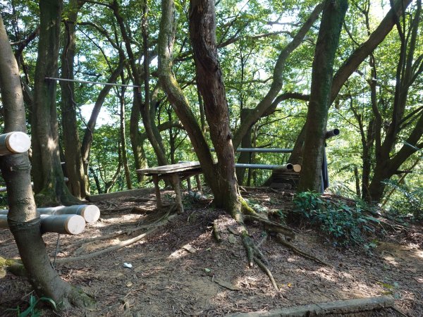 微笑山線之鳶山任務2855523