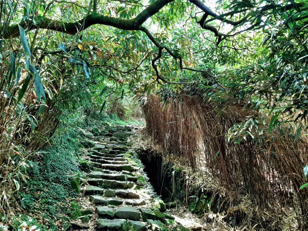 走遍陽明山：七星山系｜七星山 、夢幻湖2121085