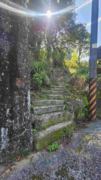 20250422豐田派出所-磨石坑古道-磨石坑山-圳沽古道2767901