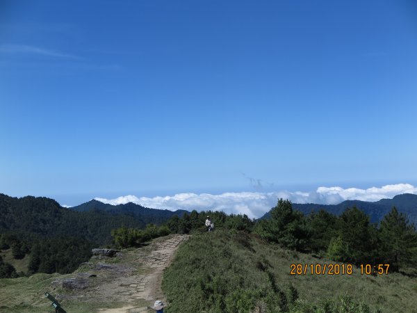 鹿林山及麟趾山封面