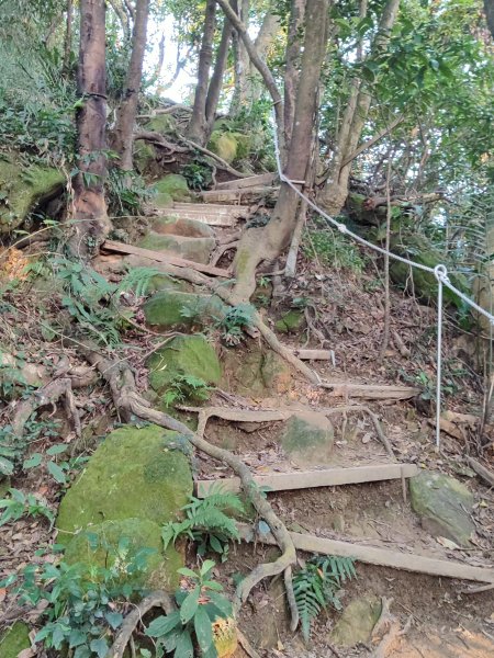 微笑山線：【鳶山山系】鳶山彩壁段2855460