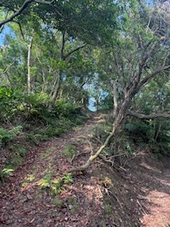 20250517 建安+鳥嘴+雙港子群峰 O型2788284