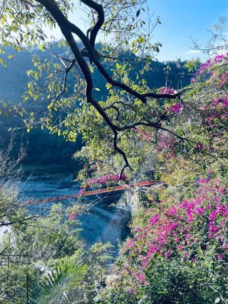 20241230 台中谷關捎來步道2739157