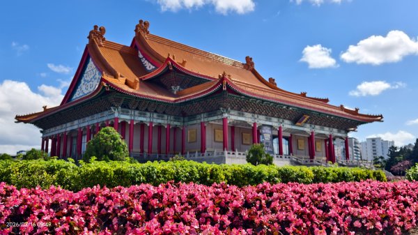 #自由廣場 #大安森林公園 #繡球花 #杜鵑 3/163016266