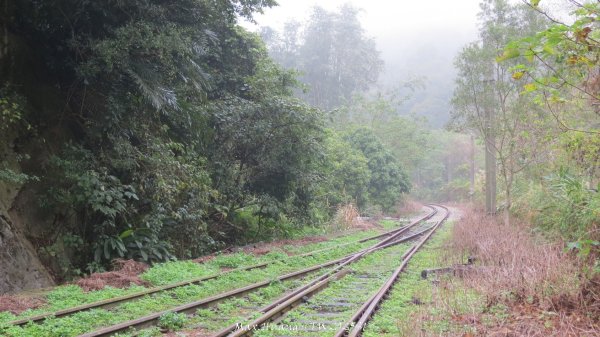《苗栗》台鐵舊山線｜三義勝興鐵道覓境及挑柴古道O繞202501192693550