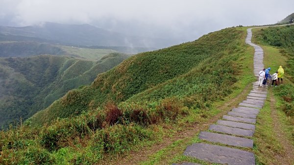 【新北-臺灣百大必訪步道】灣坑頭山→福德山→桃源谷草嶺線→大溪線→蕃薯寮山→大溪火車站1524567