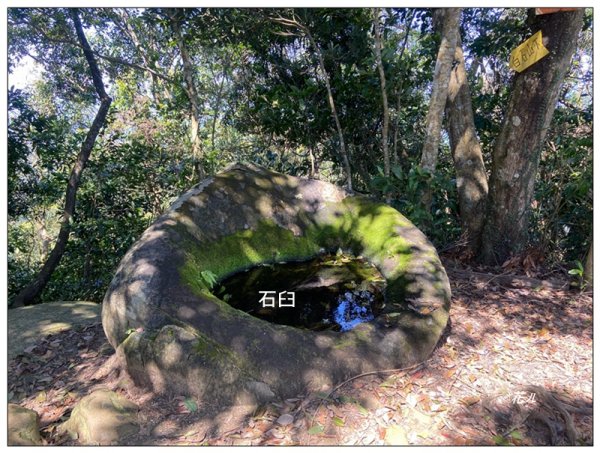 草嶺山、白石山、頭寮山 六連峰 O型路線2798587