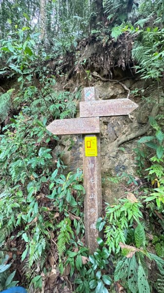 谷關白毛山2685532
