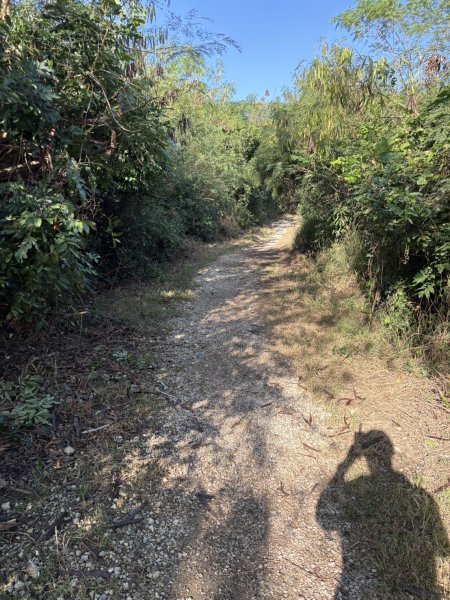 20251115壽山步道(元亨寺免費停車啟登)2938468