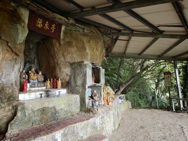 [淡蘭古道] 2026_0523 南路第一段_妙高台步道3069510