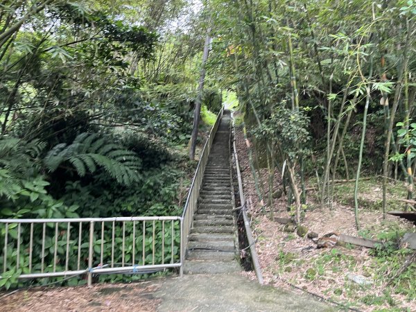 [微笑山線_ 第十段] 2025_0914 五分山系_菁桐煤礦段2889832