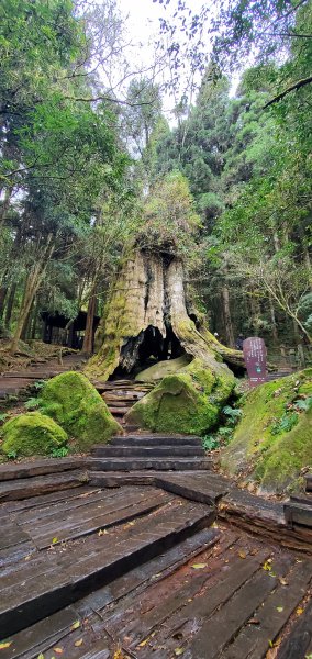2023-01-01杉林溪青龍蕨類步道(青龍瀑布)、松瀧岩瀑布及天地眼步道1978887