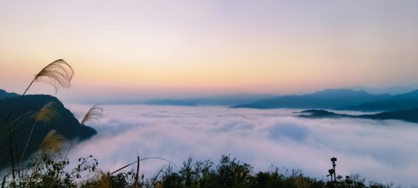 #翡翠水庫壩頂 #日出 #雲海 #藍腹鷴 2/22 #年初六3004057