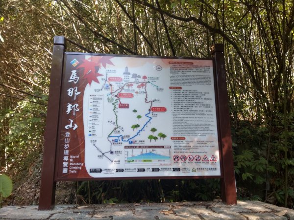 馬那邦山(小百岳#37)登山步道。點點楓紅 2020/12/131425344
