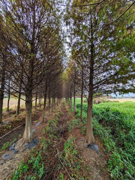 農禪寺,普濟寺2407048