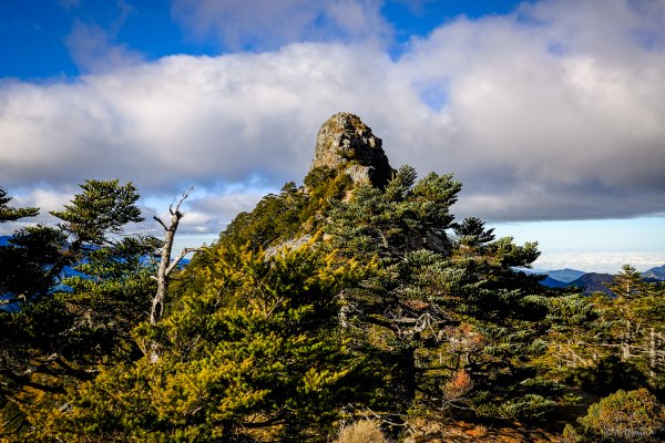 [冬訪大霸聖山岳參行]-榮耀桂冠B'bu' Papak聖稜精選輯2974789