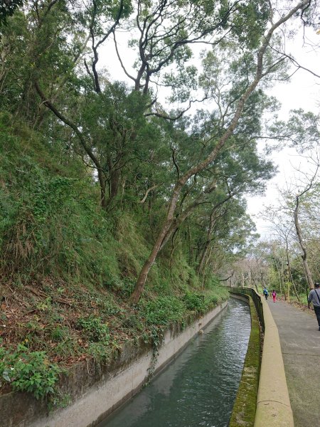 外埔水流東步道1600217