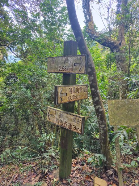 鳳鳴古道 鳳鳴山 南隘勇（南長城）古道 三湖山 八達嶺（龍骨）古道 綠色古道 延平古道2975296