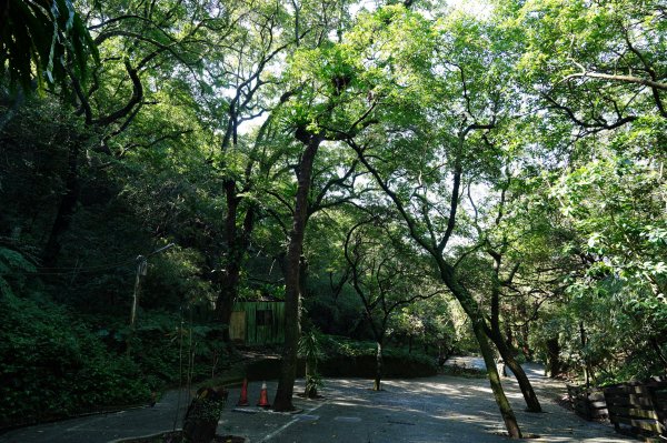 基隆 仁愛 紅淡山、金交椅山2714970