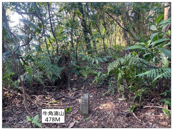 頭寮山、內湳溝山、牛角湳西南峰O型連走2738964