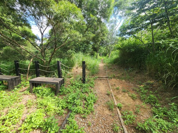 20250921學田山王田山大肚山大尖山竹坑山2928490