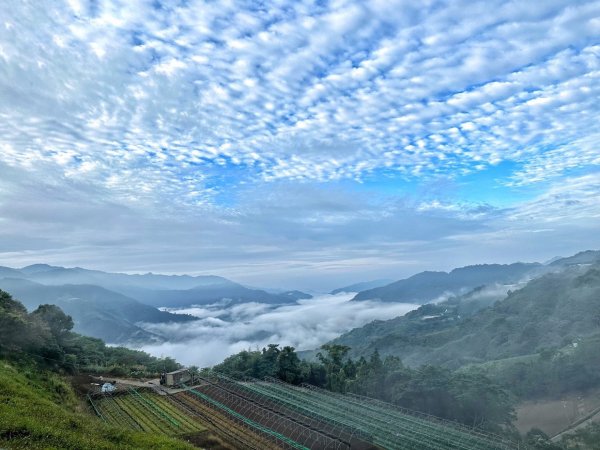 雪見 司馬限林道 北坑山2323051