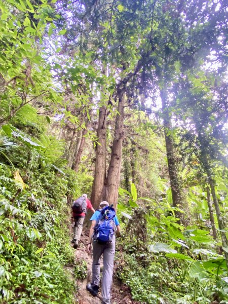 溪頭山、竹崙山、志騰山三山O型順撿內湖山  2024/5/312517735