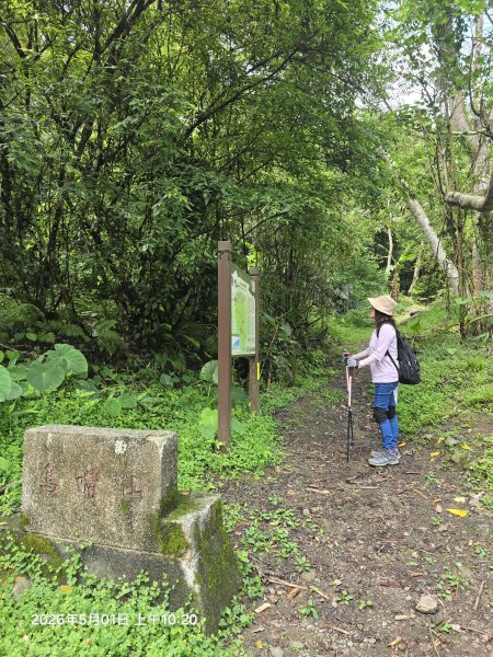 2026-05-01鳥嘴山(上島山)步道3046807