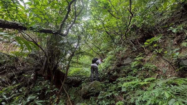 114.06.08門牙岩之O型2806631