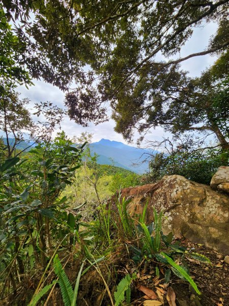 小百岳集起來-向天湖山2183022