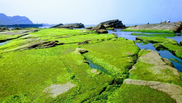 東北角海邊549548