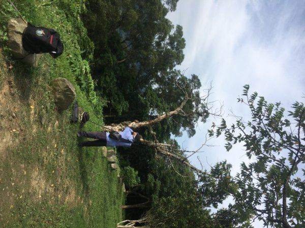 石大佛（石門山、大竹坑、佛陀世界2528053