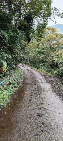 2025 12/27 鳴海山2970981