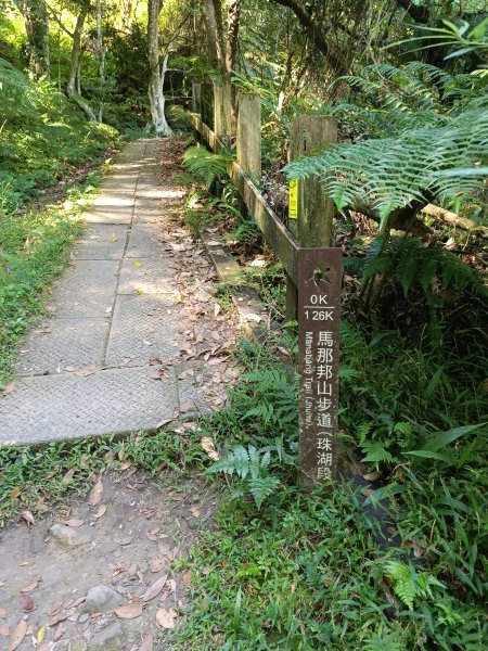苗栗馬拉邦山2983708