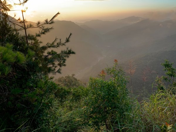 百川山沿稜探勘過210林道至海拔2025公尺處111.9.241912623