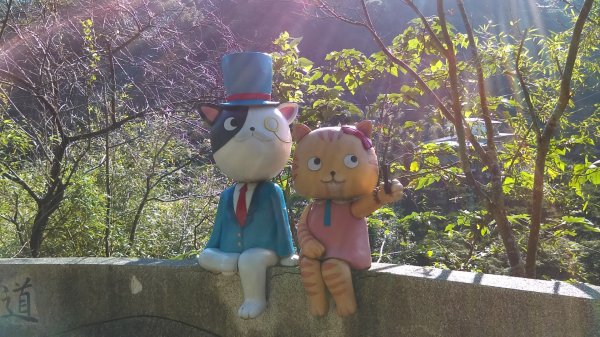 【臺北大縱走7】貓空壺穴、優美的茶香步道804941