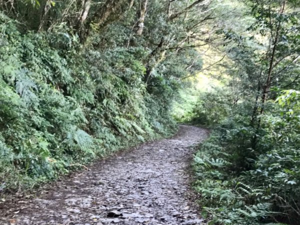 走過歲月流觴的浸水營古道1290641