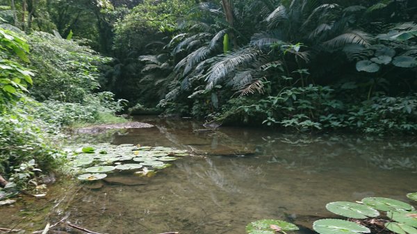 [慈湖]草嶺山-白石山-百吉隧道O型1143855