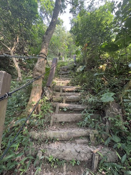 20251010南化龍麟山步道2914994