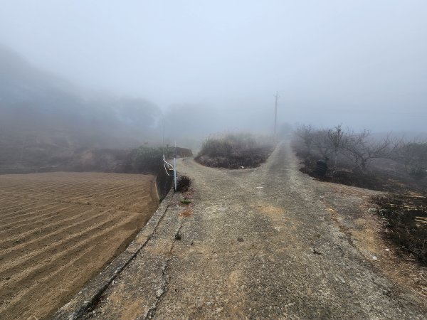 20260201雞冠山與黃麻園山(苗栗縣大湖鄉)3004227