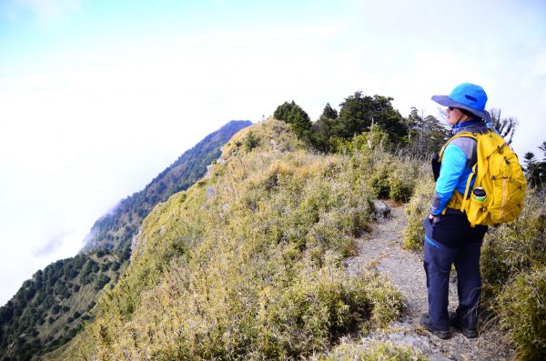  坐車比登山還累的大山...郡大山99915